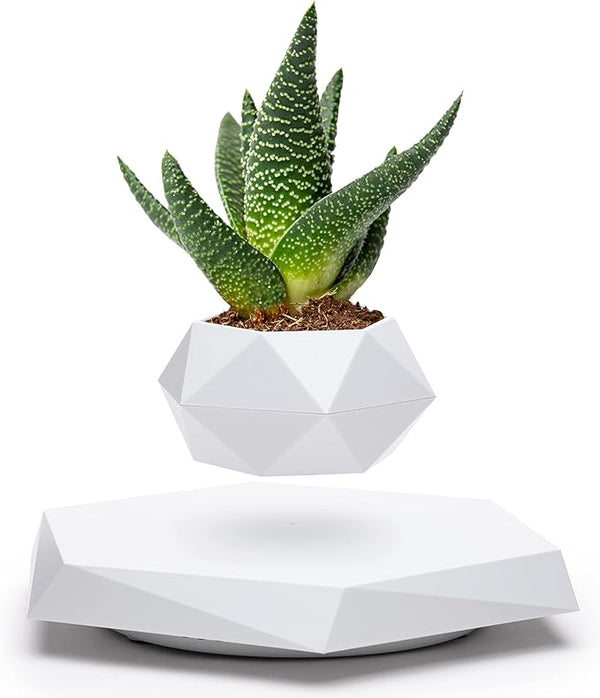 Magnetic Levitating Floating Flower Pot