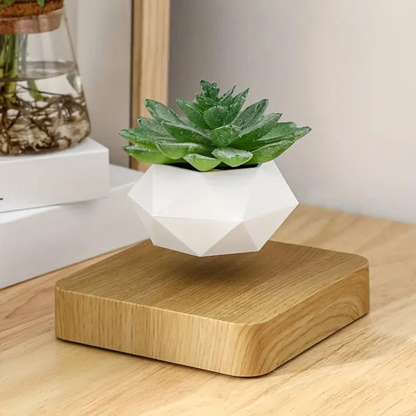 Magnetic Levitating Floating Flower Pot