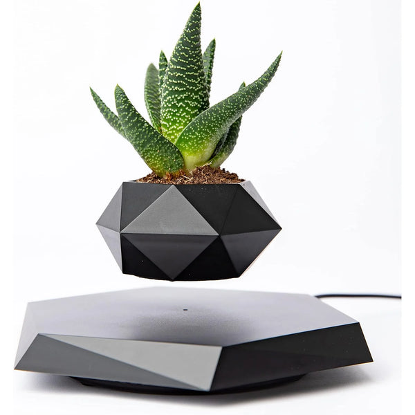 Levitating Pot: Magnetic Floating Jardiniere for Bonsai Marble Black