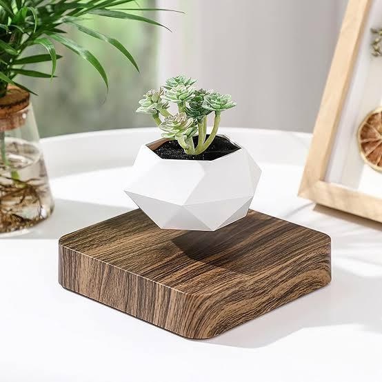 Magnetic Levitating Floating Flower Pot
